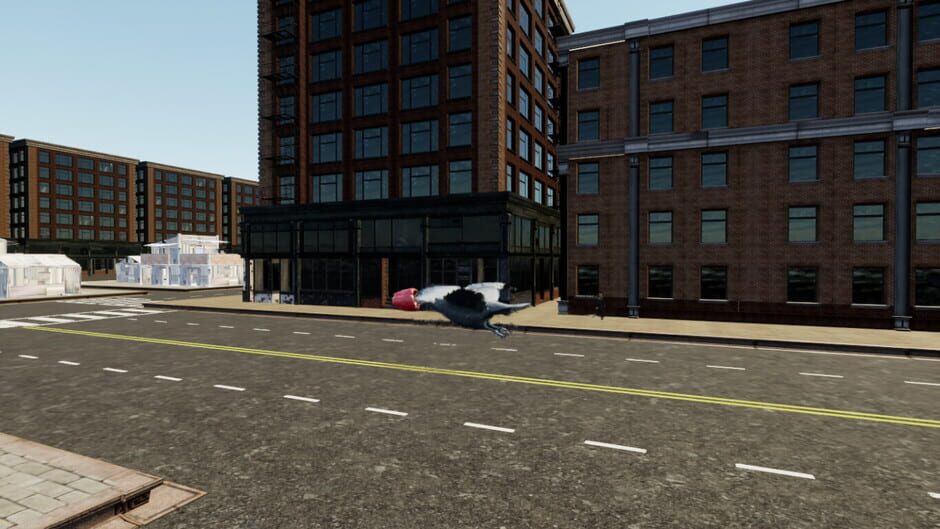 Raven Simulator screenshot