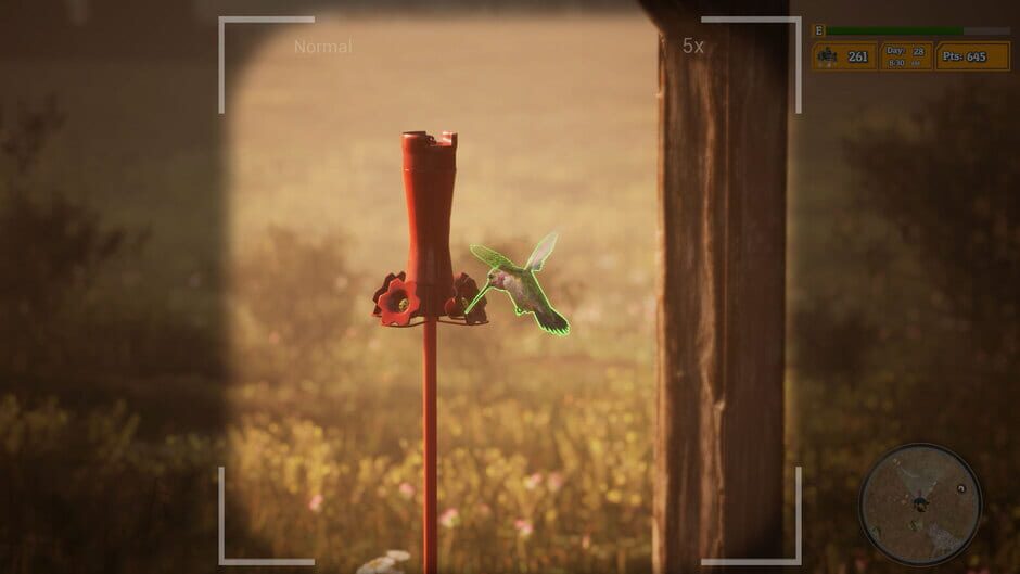 Morels: The Hunt 2 Screenshot