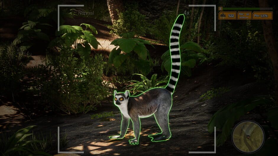 Morels: The Hunt 2 Screenshot