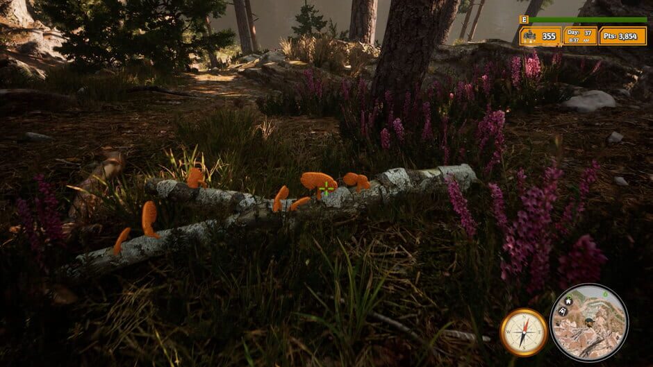 Morels: The Hunt 2 Screenshot