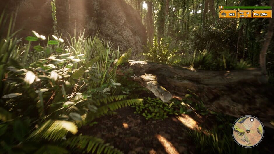 Morels: The Hunt 2 Screenshot