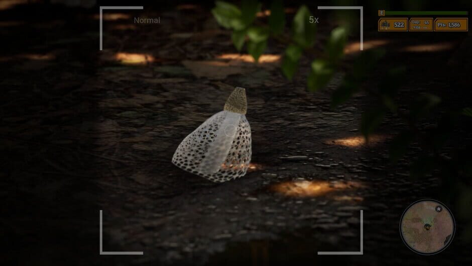 Morels: The Hunt 2 Screenshot