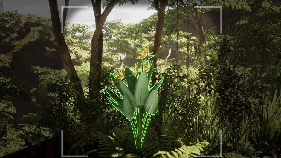 Morels: The Hunt 2 Screenshot