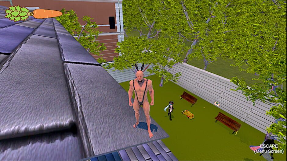 Fairy Carrots Screenshot