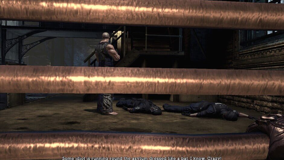 Batman: Arkham Asylum - Game of the Year Edition Screenshot