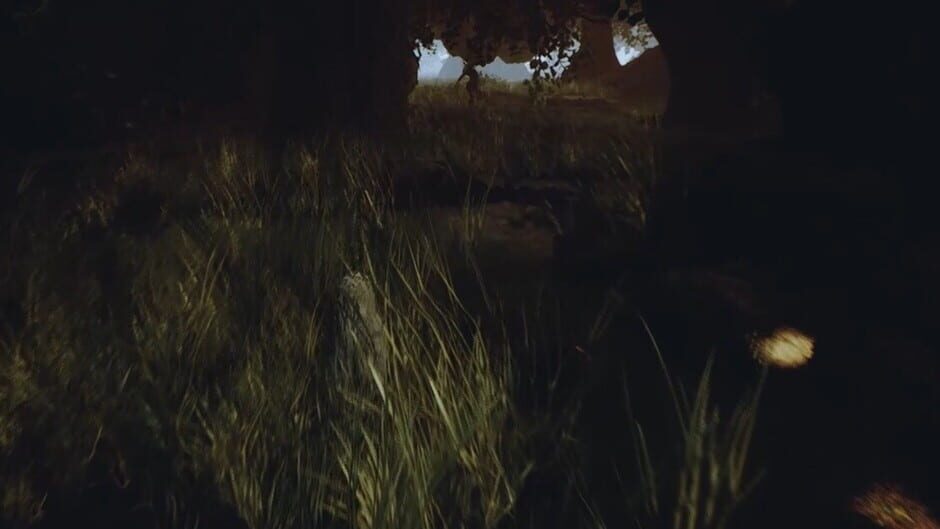 The Phantom Forest screenshot