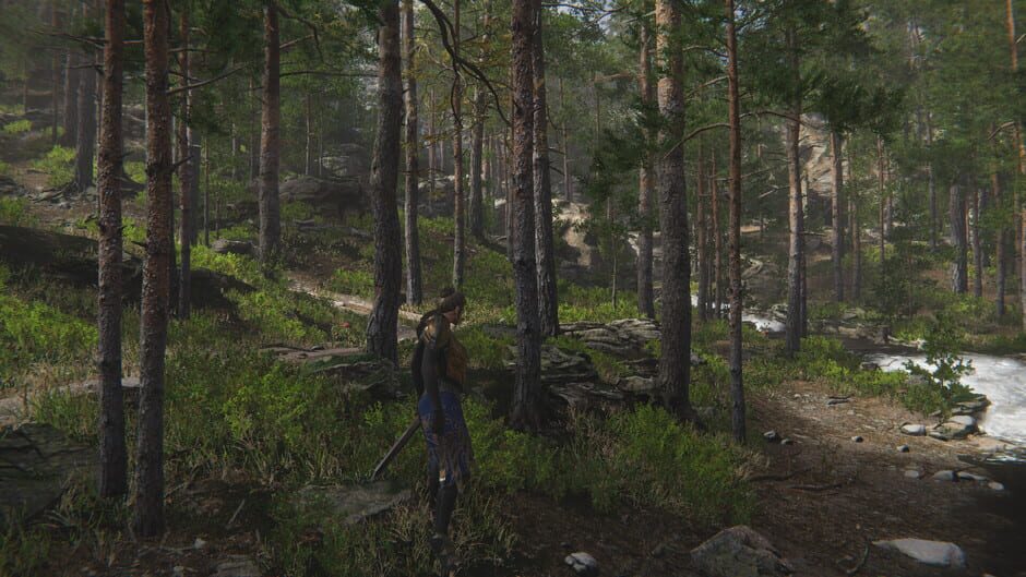 Castle of Lord Velimir Screenshot