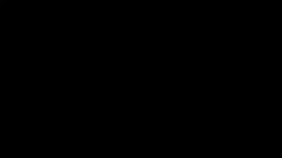 Capture d'écran de l'article