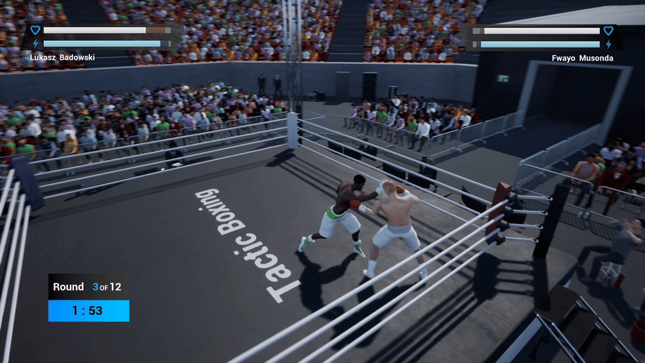 Tactic Boxing Screenshot