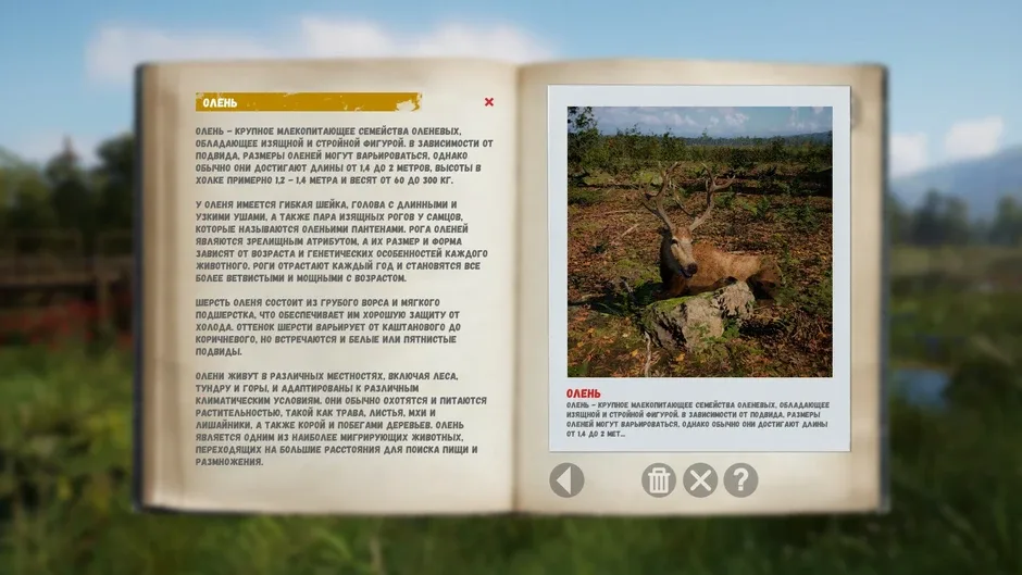 Capture d'écran de l'article