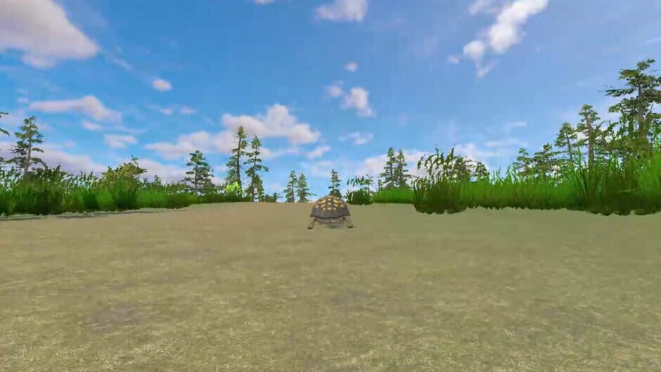 Rabbit and Turtle screenshot
