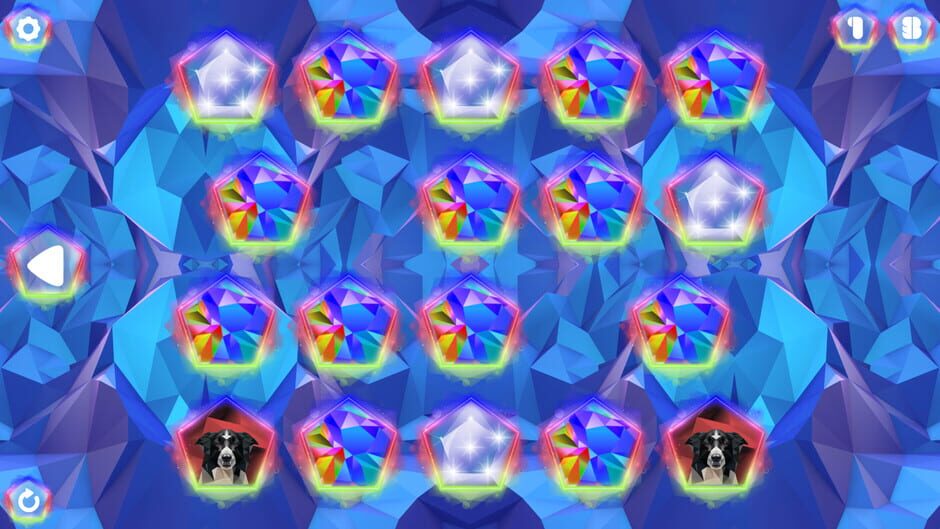 Poly Memory: Dogs Screenshot