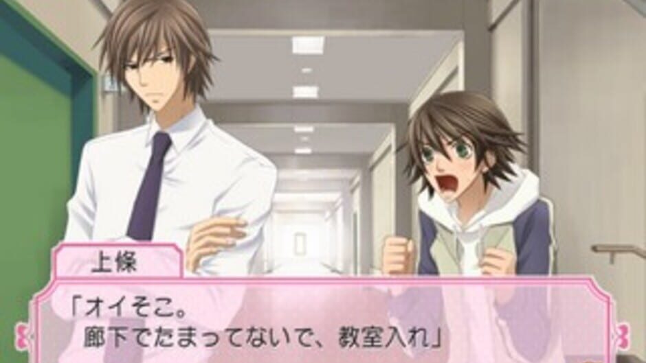 Junjou Romantica: Koi no Doki-doki Daisakusen media thumbnail