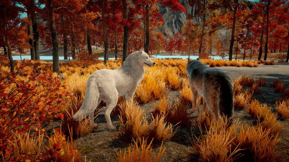 Wolf Survival screenshot
