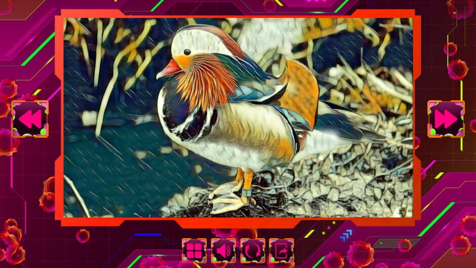 Twizzle Puzzle: Birds Screenshot