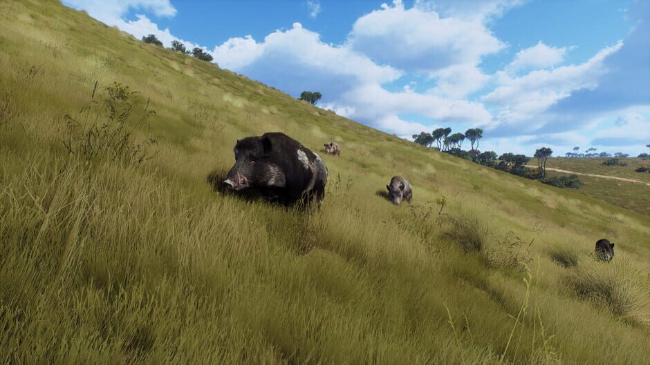 Way of the Hunter: Matariki Park Screenshot