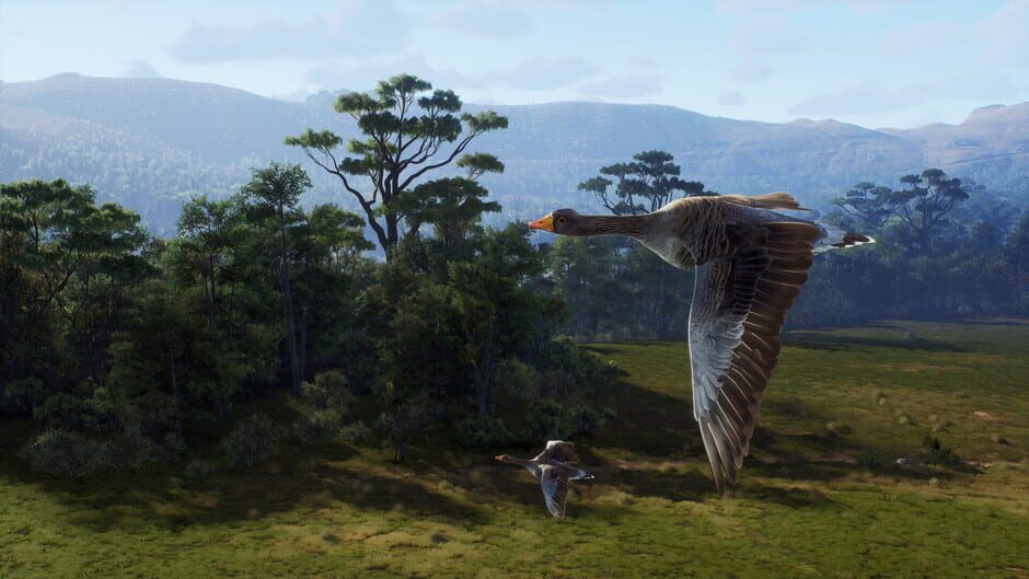 Way of the Hunter: Matariki Park Screenshot