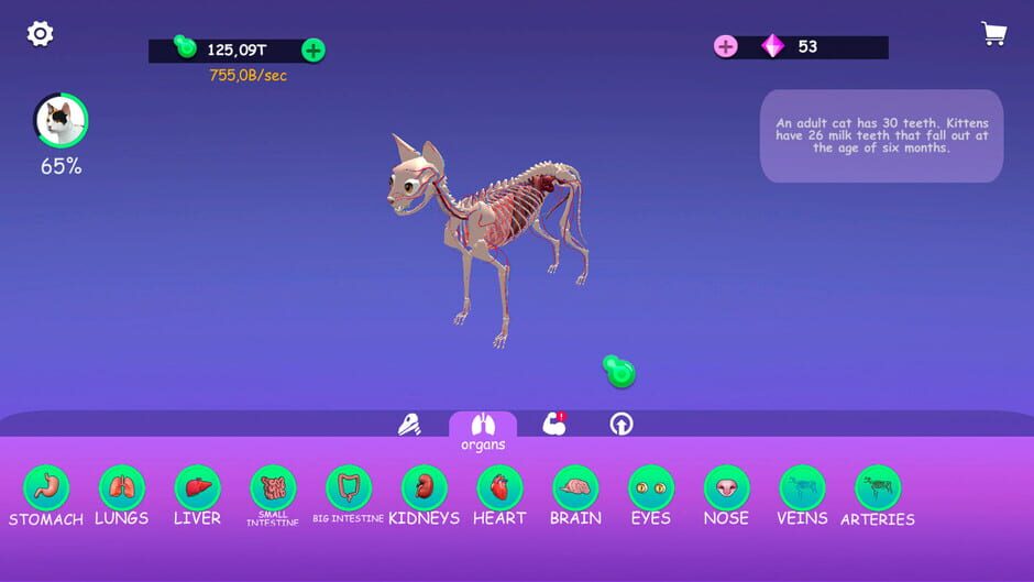 Idle Animal Anatomy Screenshot
