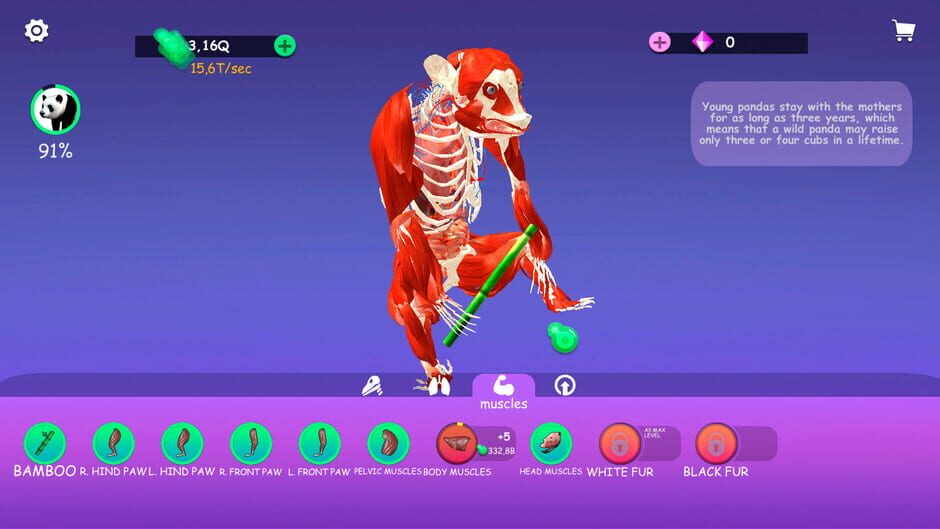 Idle Animal Anatomy Screenshot