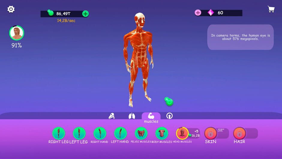 Idle Animal Anatomy Screenshot