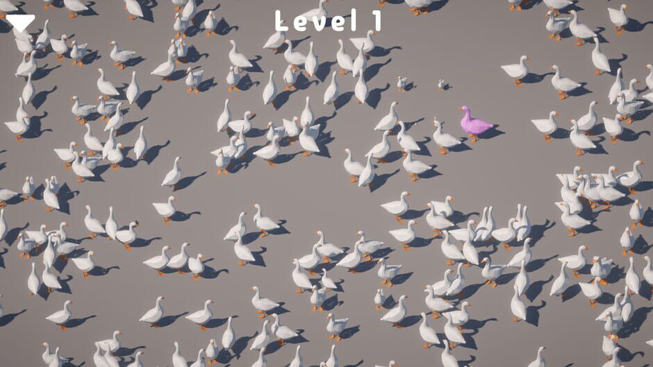Screenshots Honker