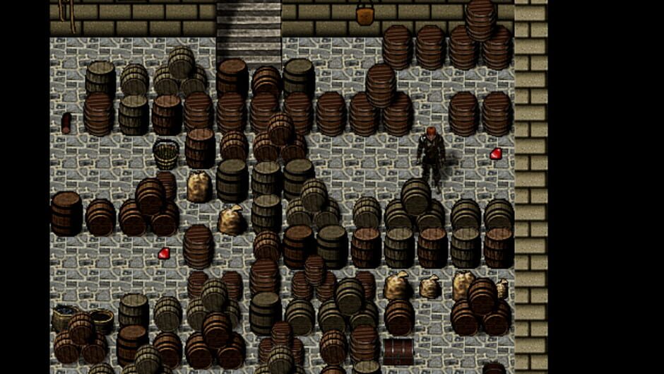 Heroes of Shaola Screenshot