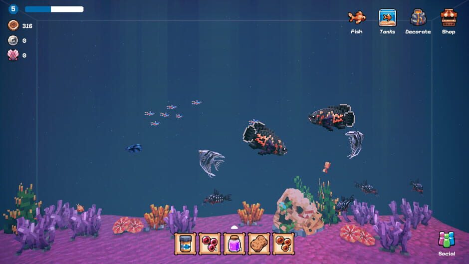 Tiny Aquarium: Social Fishkeeping-reviewed-cover