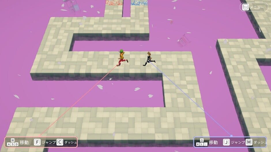 Hypotheses on the Symmetry between Vision and Hands Screenshot