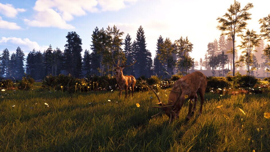 Windstorm: Start of a Great Friendship - Remastered Screenshot