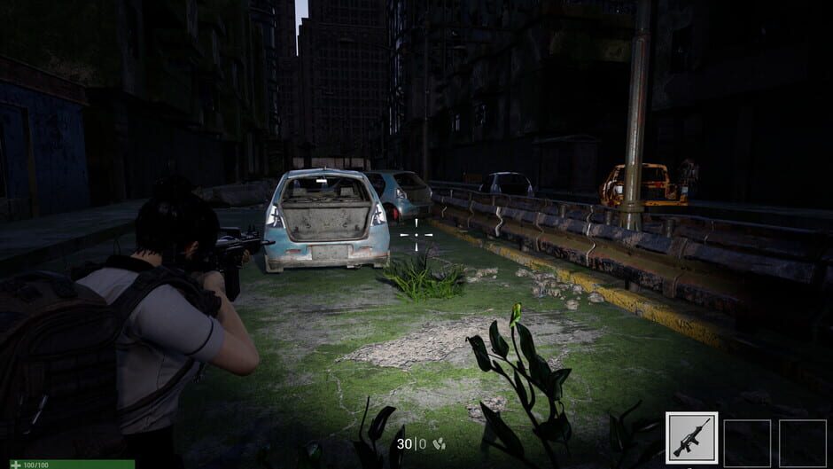 Project: Debug Screenshot