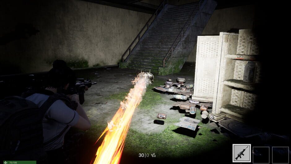 Project: Debug Screenshot