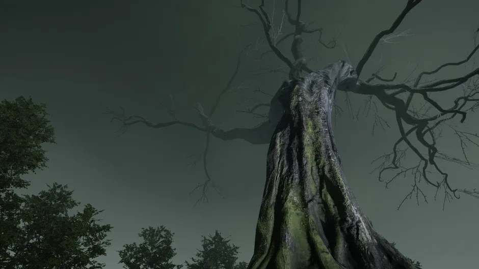 Кадър от The Witch's Redemption