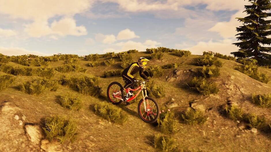 BMX Wild Run Screenshot