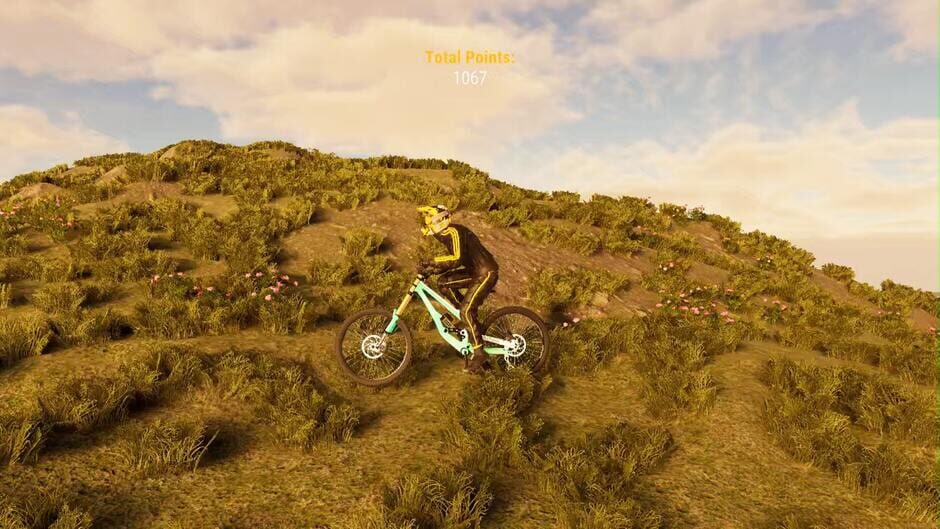 BMX Wild Run Screenshot