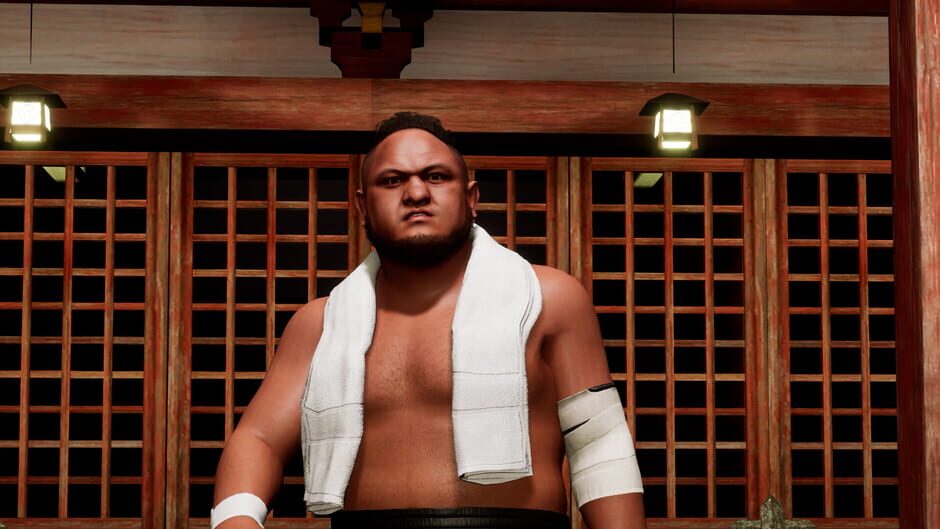 All Elite Wrestling: Fight Forever - World War Joe Screenshot