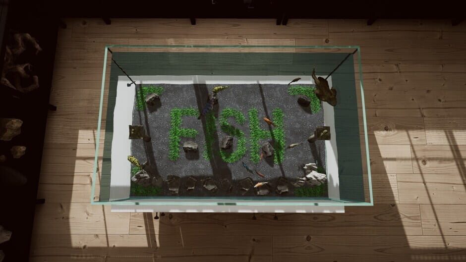 Aquarium in Cafe Screenshot