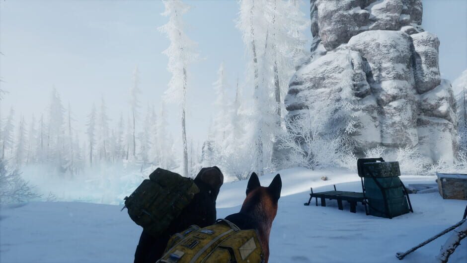 Screenshot Permafrost