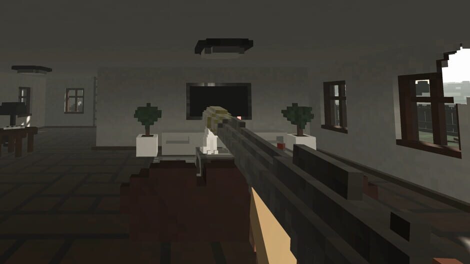 Voxel Project Screenshot