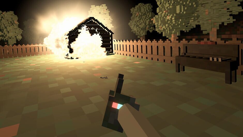 Voxel Project Screenshot