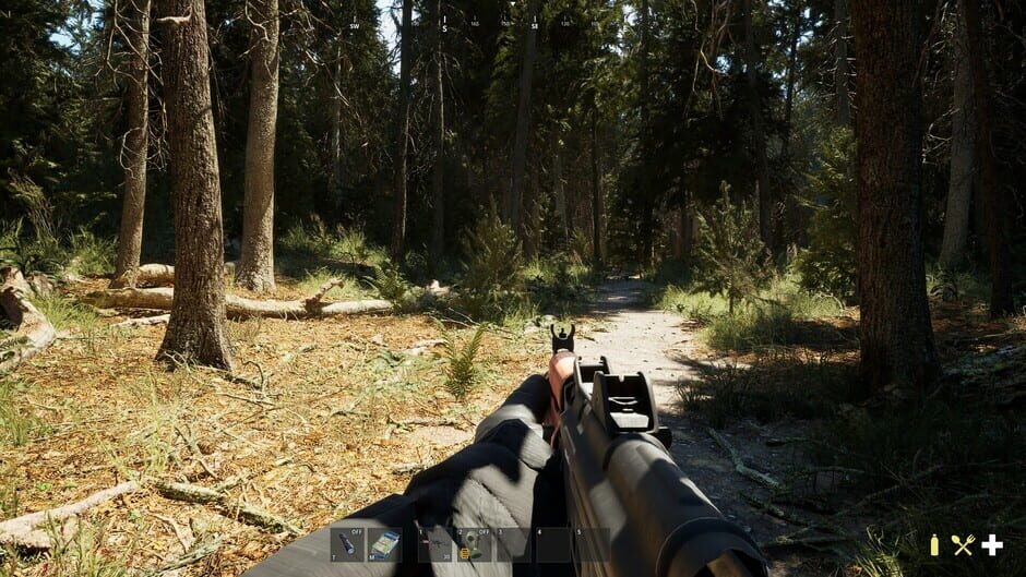 Screenshot Phantom Line