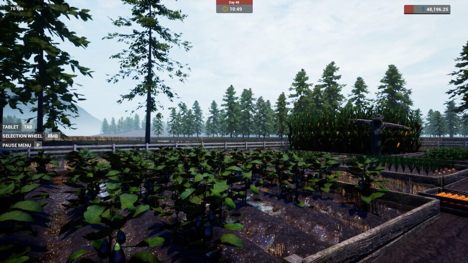 Farmer's Shop Simulator Screenshot