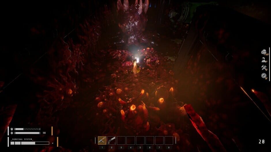 Screenshot Symbiosis