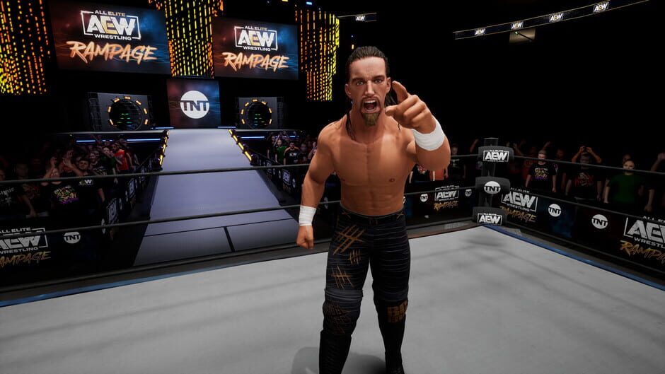 All Elite Wrestling: Fight Forever - Season Pass 4 Screenshot
