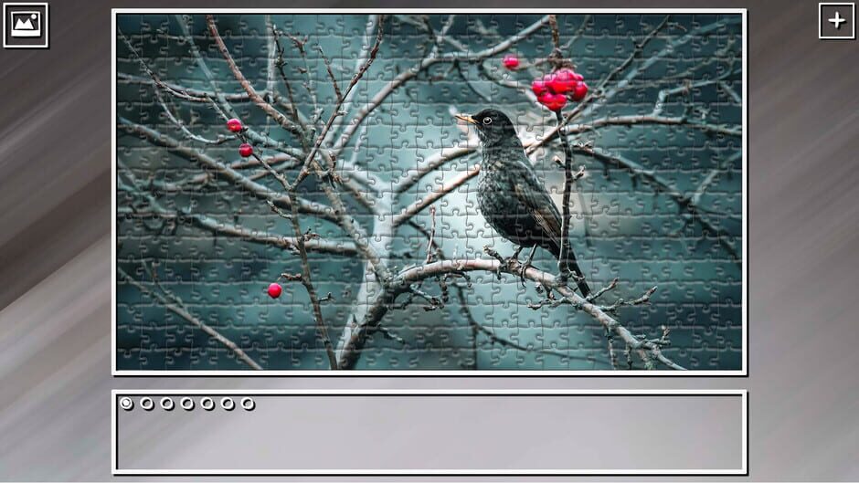 สกรีนช็อตจาก Super Jigsaw Puzzle: Generations - Birds 2 (รูปที่ 4)