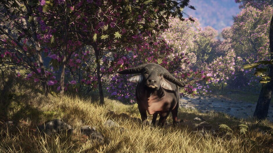 TheHunter: Call of the Wild - Sundarpatan Nepal Hunting Reserve Screenshot