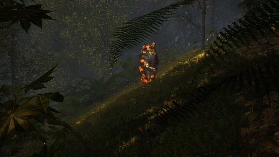 TheHunter: Call of the Wild - Sundarpatan Nepal Hunting Reserve Screenshot
