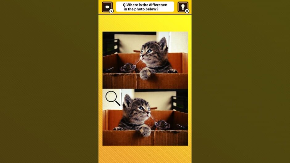 训练大脑!猫咪找茬SWITCH游戏截图