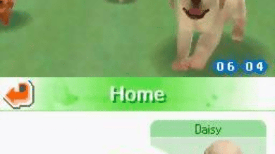 Nintendogs: Chihuahua & Friends Screenshot