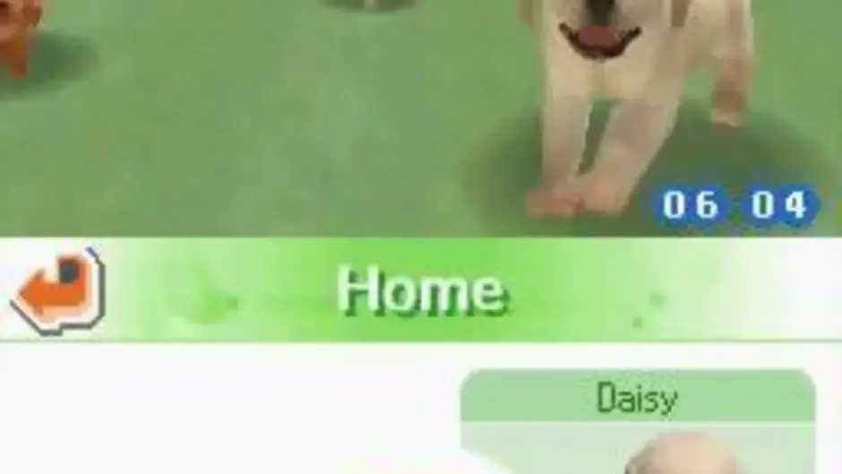 Screenshot 1 aus Nintendogs: Chihuahua & Friends