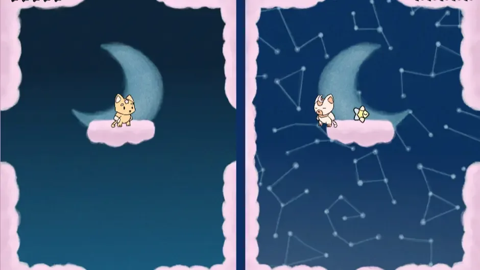 Meow Nights
